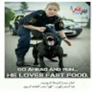 Meet your Posher, Zino